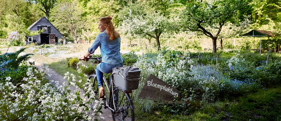 Fietstassen, -manden en -kratten